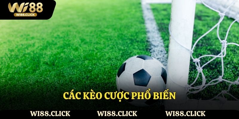 Các kèo cược phổ biến trong cá cược bóng đá Wi88