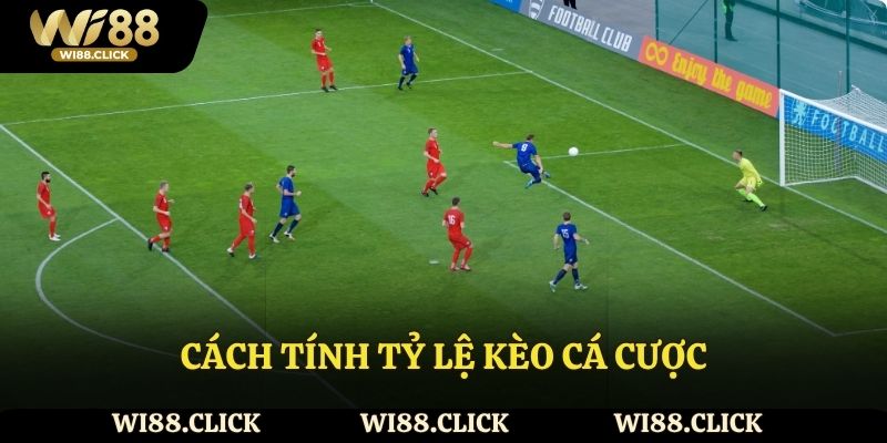 Cách tính tỷ lệ kèo cá cược bóng đá Wi88
