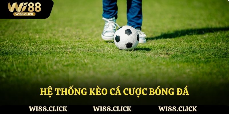 Hệ thống kèo cá cược bóng đá