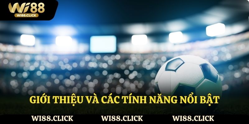 Các tính năng nổi bật