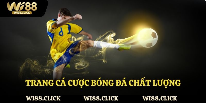 Wi88 giới thiệu các trang cá cược bóng đá chất lượng