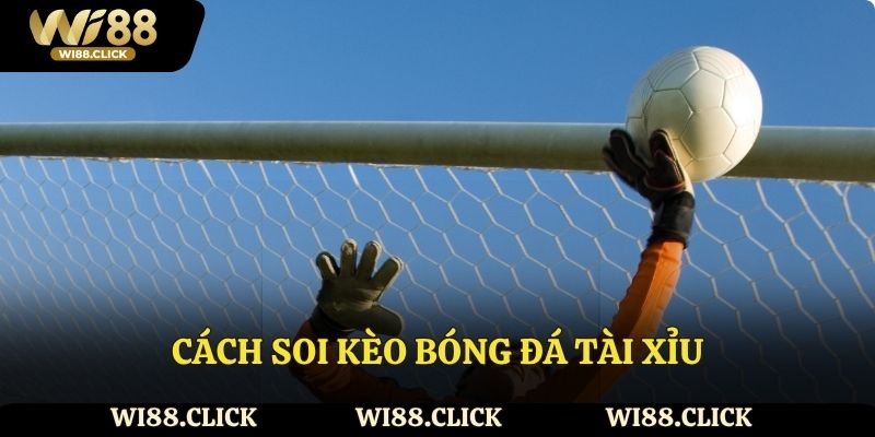 3 cách soi kèo bóng đá tài xỉu: Wi88 chỉ chi tiết từ A-Z
