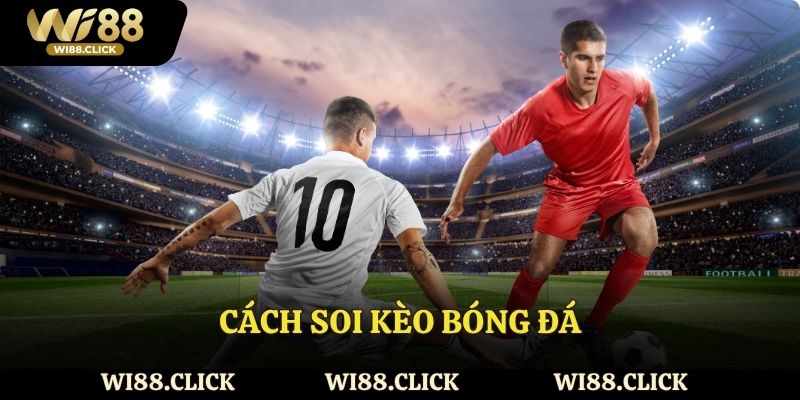 Cách soi kèo bóng đá theo chuyên gia nhà cái hàng đầu Wi88