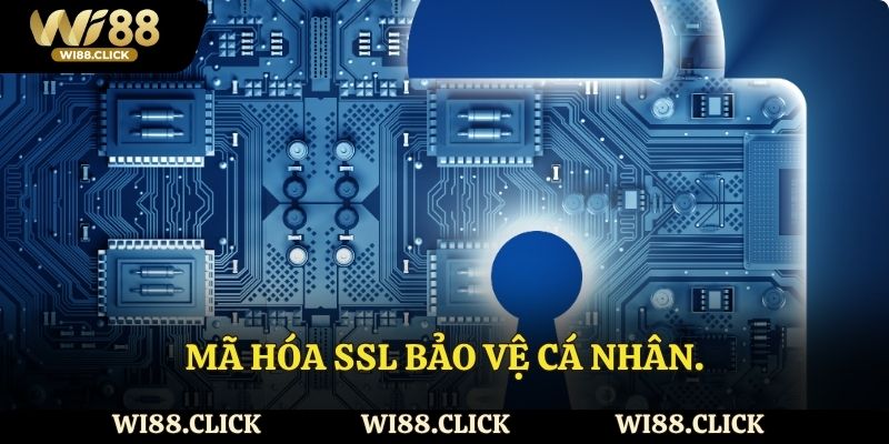 Mã hóa SSL bảo vệ cá nhân.