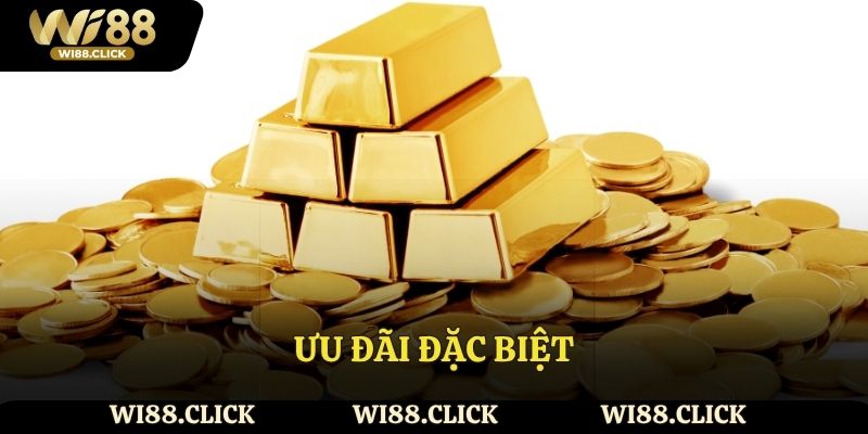 Ưu đãi đặc biệt VIP