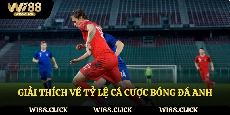 Giải thích về tỷ lệ cá cược bóng đá Anh
